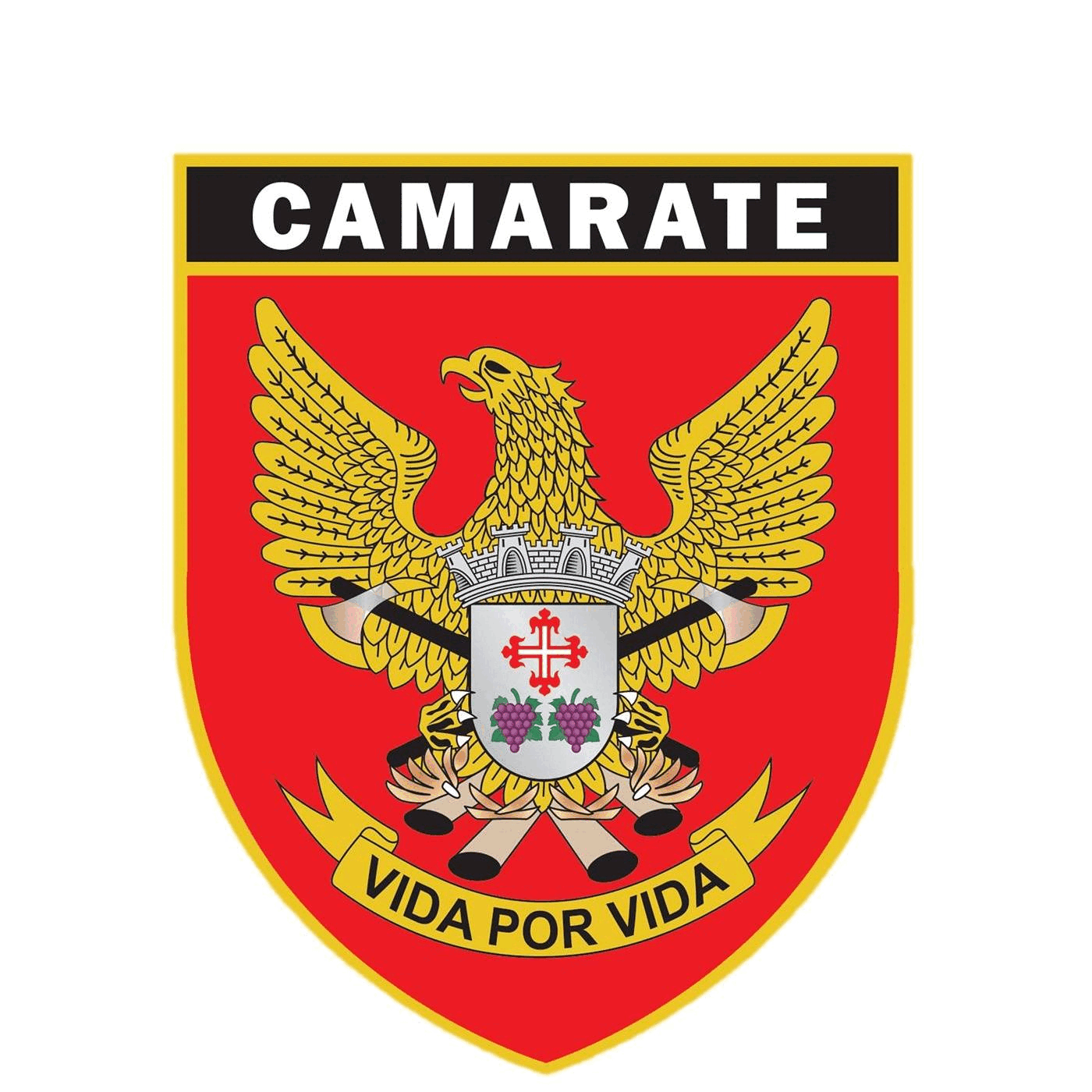 B.V. Camarate B.V. Camarate